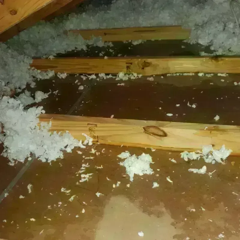 Attic Water Damage in Hill County, TX