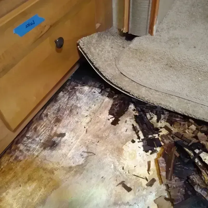 Wood Floor Water Damage in Hill County, TX